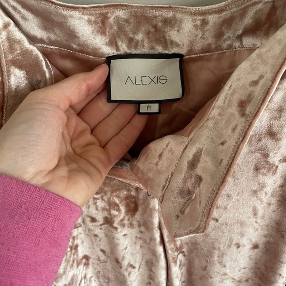 Alexis Domenic Velvet Flares - Blush Pink - Size Medium - Picture 4 of 14